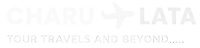 Footer Logo
